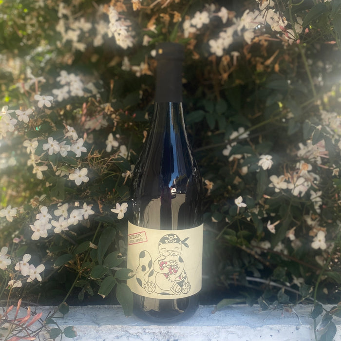 Rosato sparkling wine bottle standing among white flowers