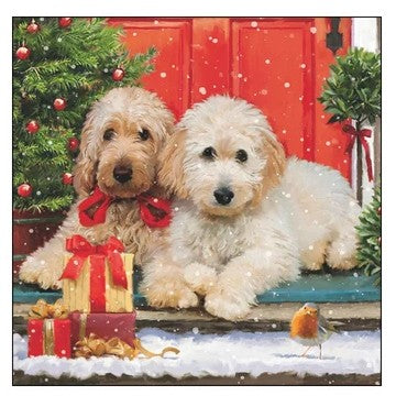 Dogs at the Door