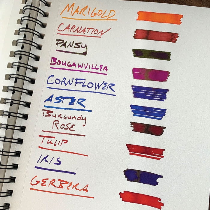 Diamine Flower Gerbera Fountain Pen Ink