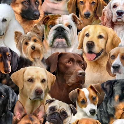 DOG BREEDS (4 YARDS)