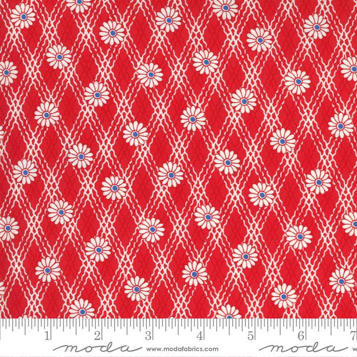 30S PLAYTIME - DAISY  CHAIN (4 YARDS)
