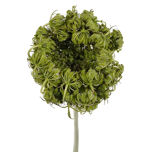 Antique Lace Pods