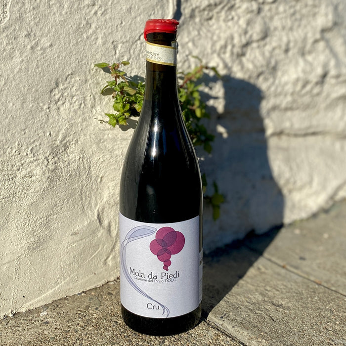 Wine bottle with 'Mola da Piedi' label and red cap, outdoors on stone