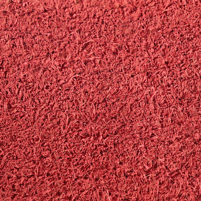 Bow Print Coir Mat 🇬🇧