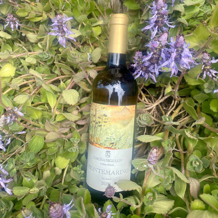 Montemarino Bianco white wine bottle, 2020, gold cap and labeled front
