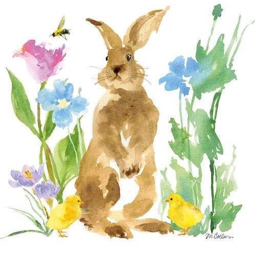 Felix the Bunny
