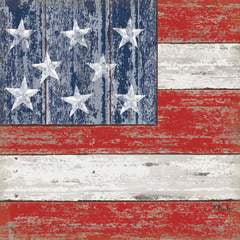 Vintage America