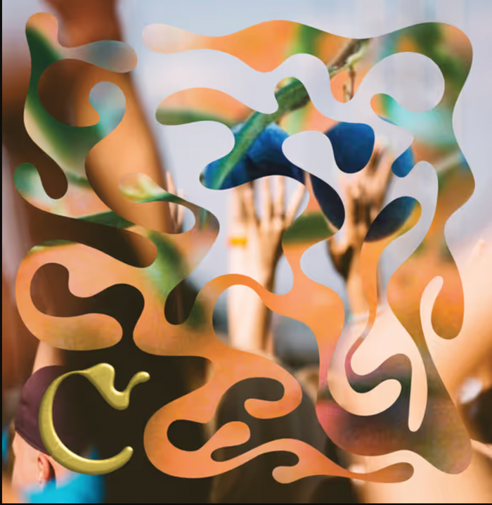 Pinot Grigio Ramato wine bottle with abstract orange and green cutout label