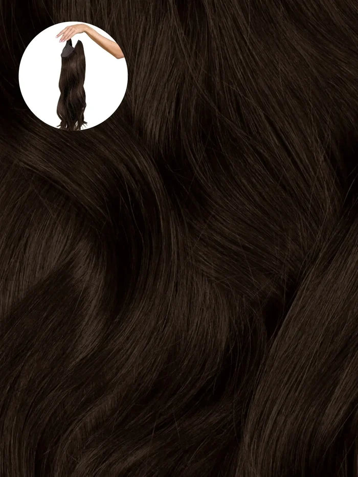 Dark Brown (2A) Halo