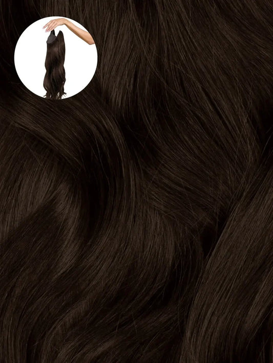Dark Brown (2A) Halo
