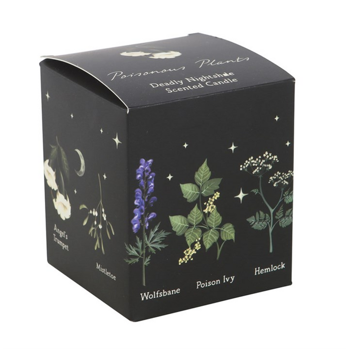 Deadly Nightshade Scented Candle 🇬🇧