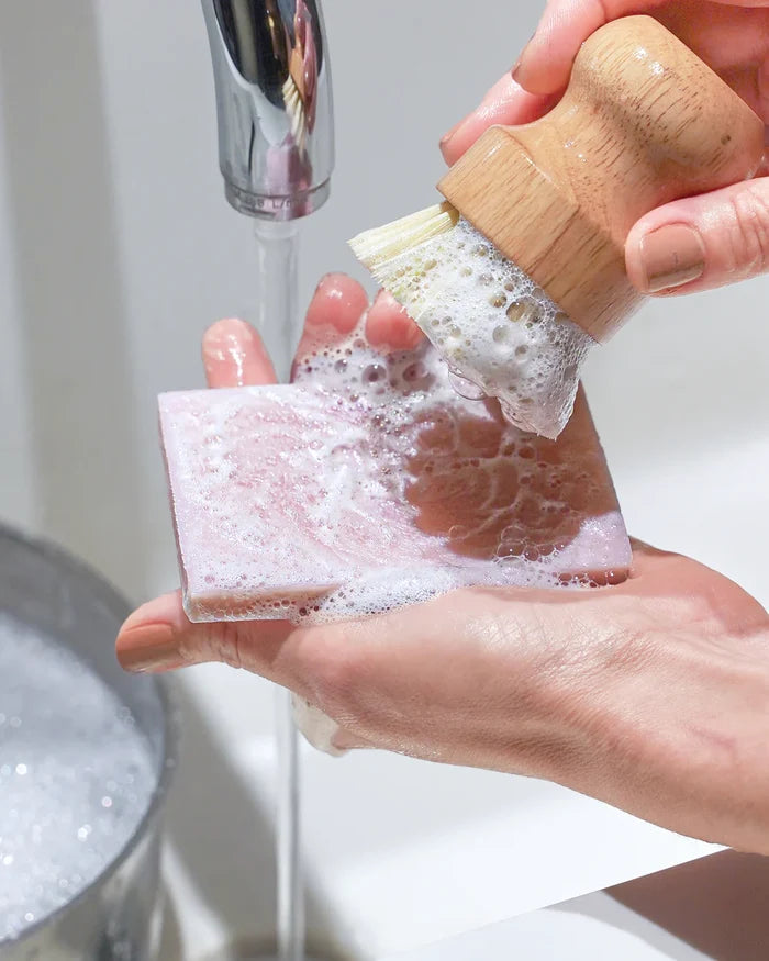 EBB & FLOW - Solid Dish Bar Soap