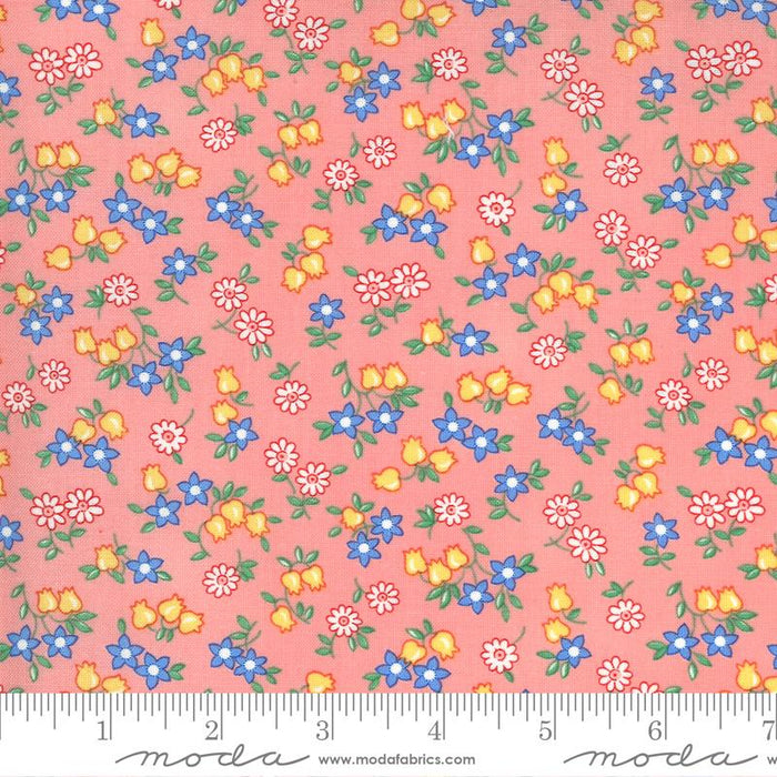 LAST CHANCE - 30S PLAYTIME - POSIE PARTY (2 2/3 YARDS)
