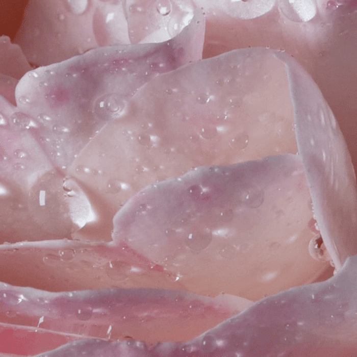 Maison Francis Kurkdjian L'Eau A La Rose EDT 35ml - Beauty Tribe