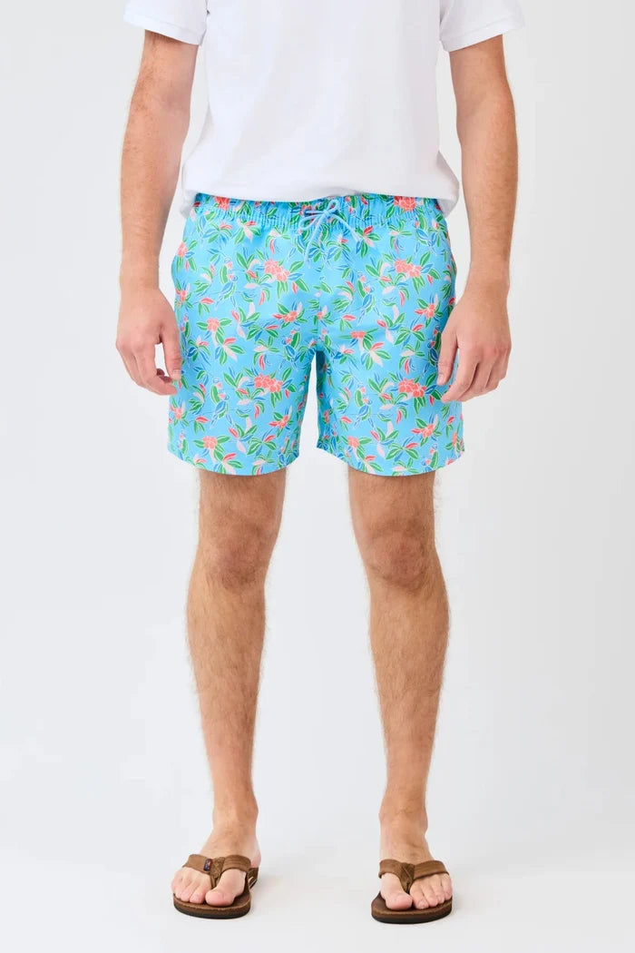 Mary Square: Dylan Swimsuit Tiki Tropics Multi
