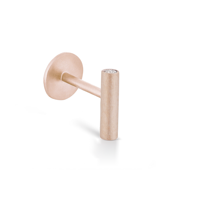 Matte Round Bar with Diamond Ends Threaded Stud Earring With Titanium Backing