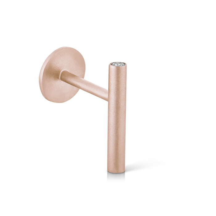 Matte Round Bar with Diamond Ends Threaded Stud Earring With Titanium Backing
