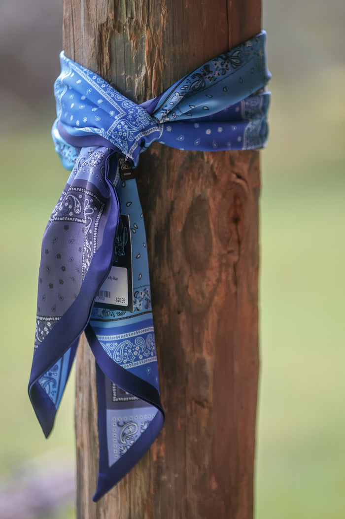 Mini Bandana Twillys