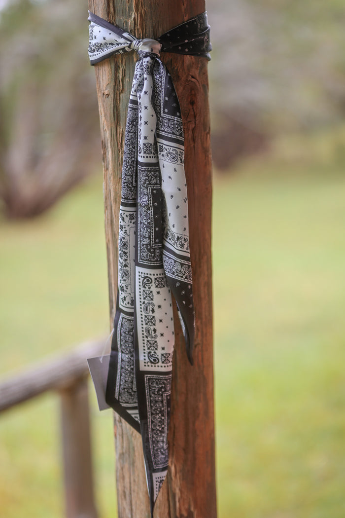 Mini Bandana Twillys
