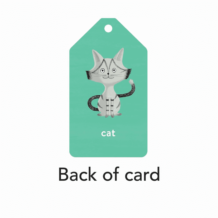 Mudpuppy Spanish to English Ring Flash Cards