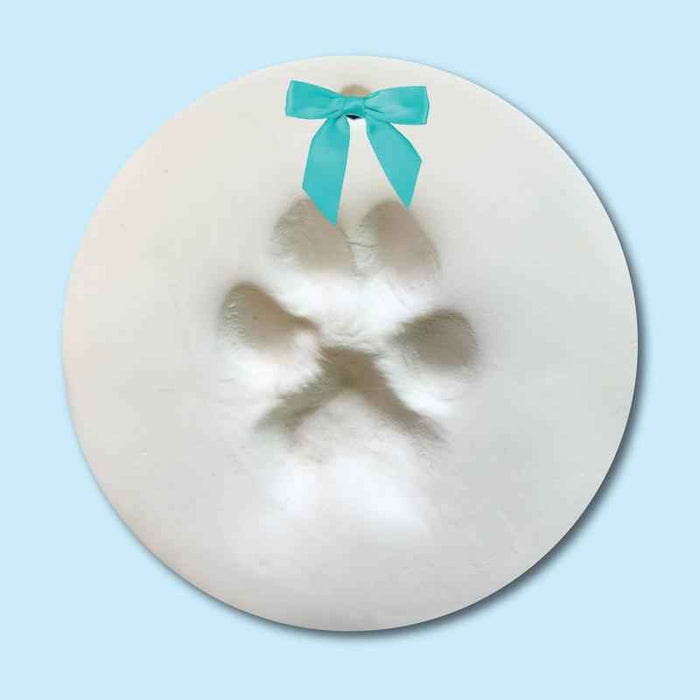 Pet Paw Customized Ornament and Frame Collectible