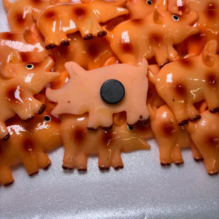 Pig Kitchen Magnet