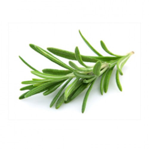 Rosemary Olive Oil