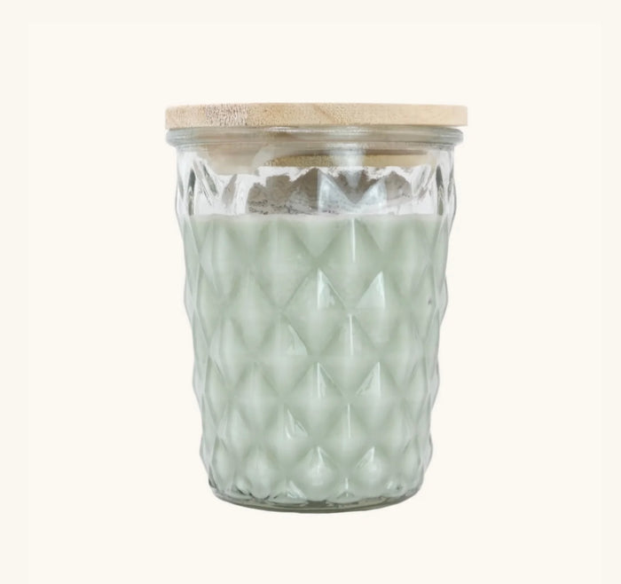 Swan Creek Candle - Barefoot in the Park