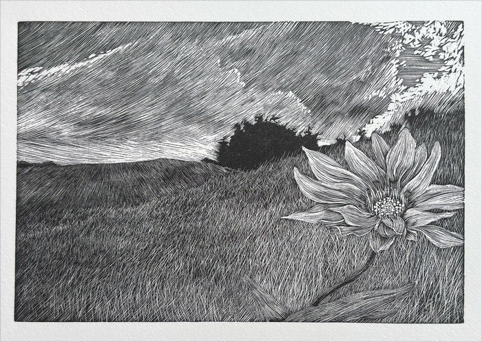 The flower and the weather