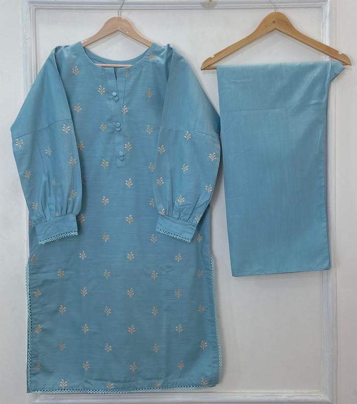 Winter Long-length Embroidered 2PC (Khaddar) (Hot Seller) D-287