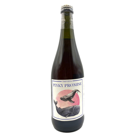 Yeasteria Pinky Promise Rosato Frizzante 2018 sparkling rosé bottle